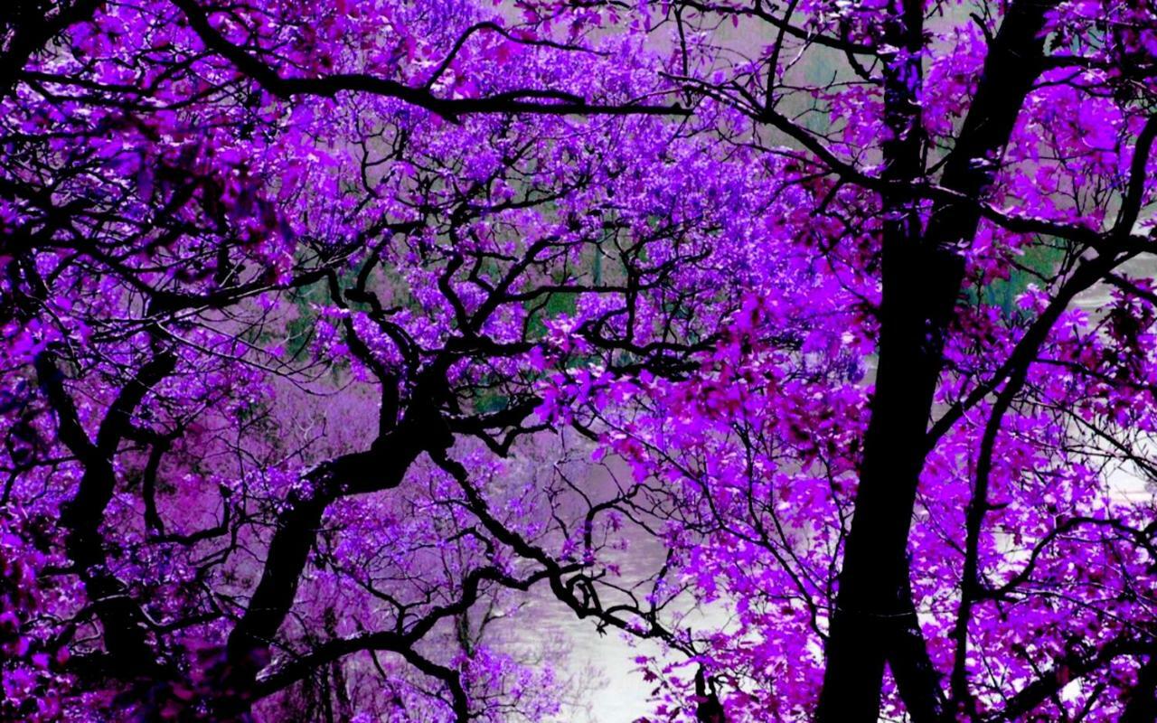 Violet #Colony_White_Tower Leilighet Thessaloníki Eksteriør bilde